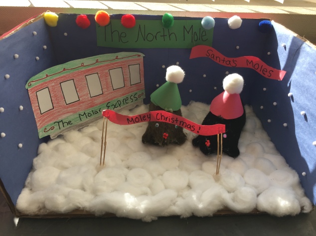 Mole Project Winner! Chem students celebrate Avogadro's number with a fun mole project. 